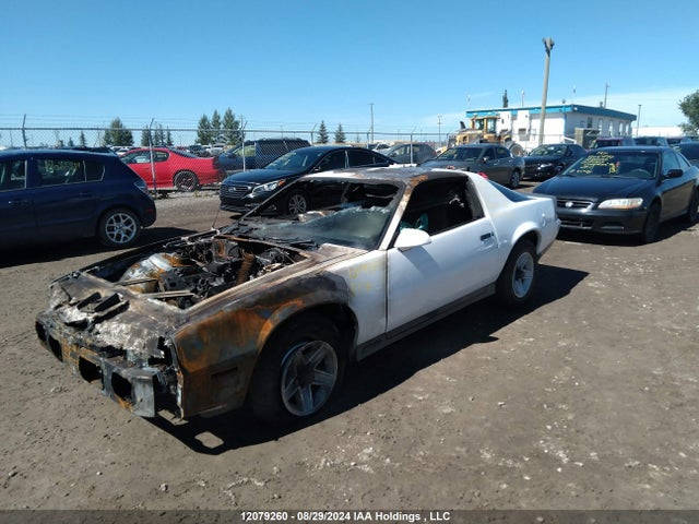 12079260 :رقم المزاد ، 1G1AP87H9DL100301 vin ، 1983 Chevrolet Camaro مزاد بيع