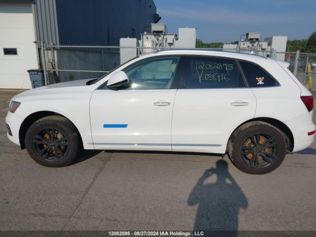 WA1L2AFP0GA038716 Audi Q5