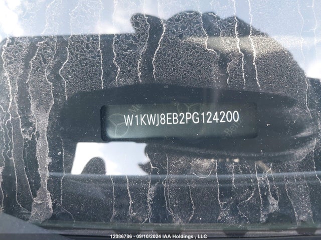 W1KWJ8EB2PG124200 Mercedes-Benz m264