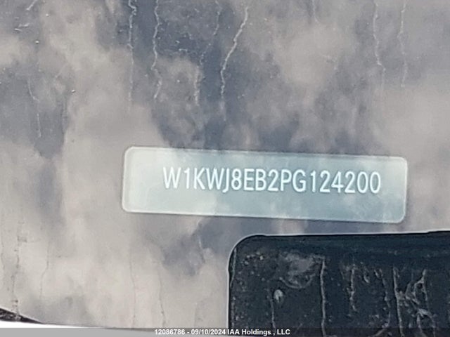 W1KWJ8EB2PG124200 Mercedes-Benz m264