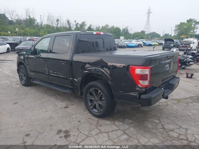 Ford 2023 2023 1FTFW1ED2PFC55752 Image 3