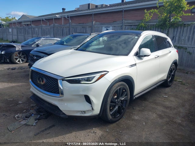 3PCAJ5M31KF109042 Infiniti QX50