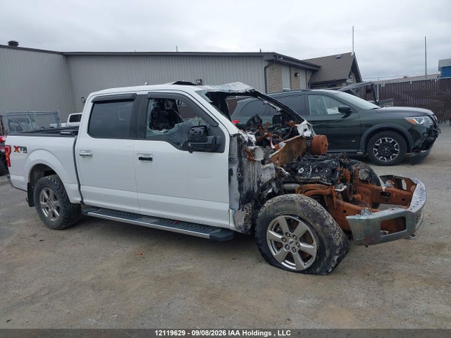 12119629 :رقم المزاد ، 1FTEW1E52KFC51262 vin ، 2019 Ford F150 Supercrew مزاد بيع