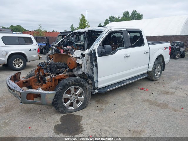 12119629 :رقم المزاد ، 1FTEW1E52KFC51262 vin ، 2019 Ford F150 Supercrew مزاد بيع