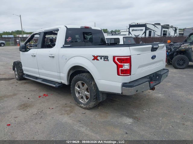 12119629 :رقم المزاد ، 1FTEW1E52KFC51262 vin ، 2019 Ford F150 Supercrew مزاد بيع