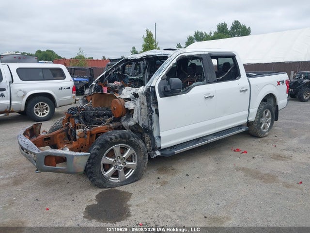 12119629 :رقم المزاد ، 1FTEW1E52KFC51262 vin ، 2019 Ford F150 Supercrew مزاد بيع
