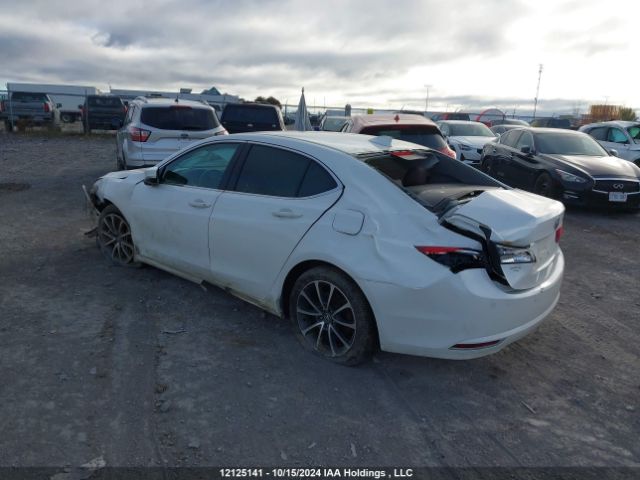 19UUB3F72HA800291 Acura j35y6