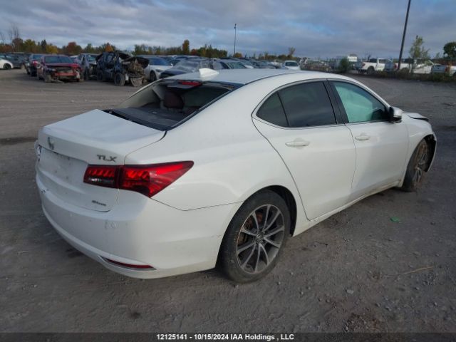 19UUB3F72HA800291 Acura j35y6