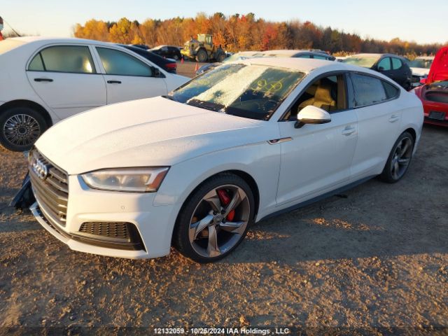 WAUC4CF50KA078570 Audi S5