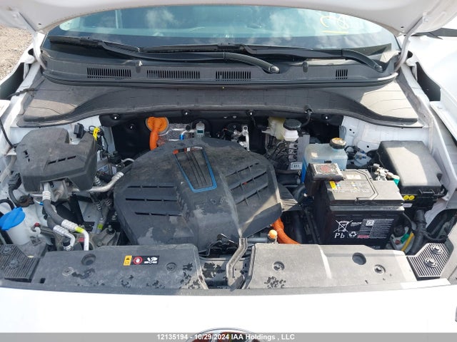 KM8K23AG7PU176235 Hyundai 2023