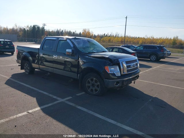 Продажа на аукционе авто 2010 Ford F150 Supercrew, vin: 1FTFW1EV9AFC12767, номер лота: 12136645