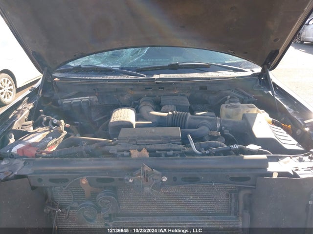 Продажа на аукционе авто 2010 Ford F150 Supercrew, vin: 1FTFW1EV9AFC12767, номер лота: 12136645