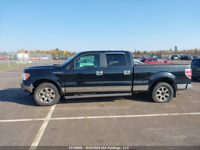 Продажа на аукционе авто 2010 Ford F150 Supercrew, vin: 1FTFW1EV9AFC12767, номер лота: 12136645