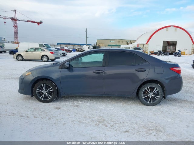 2T1BURHE4HC877111 Toyota Corolla L/le/xle/se/xse