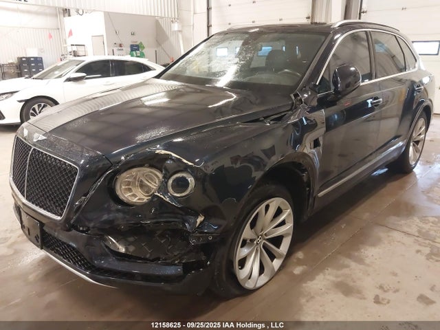 Bentley Dcu 2019 SJAAM2ZV7KC024608 Image 6