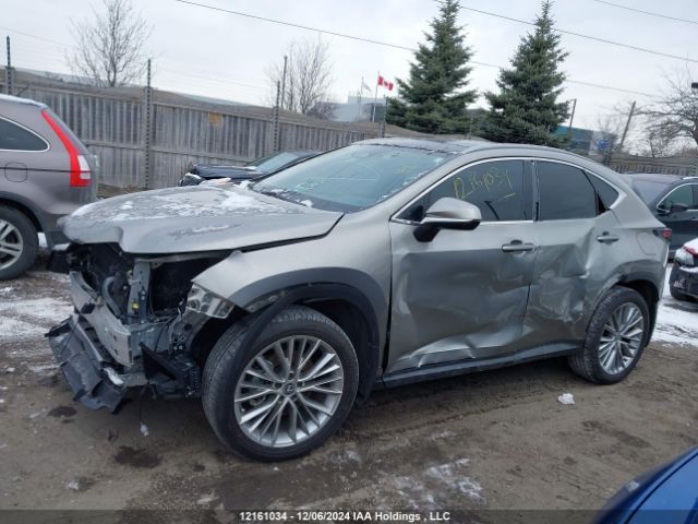 2T2GKCEZ4RC025080 Lexus Nx 350h 350h