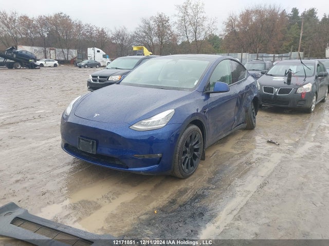 Tesla Model Y 2023 7SAYGDEE4PF586033 Image 2