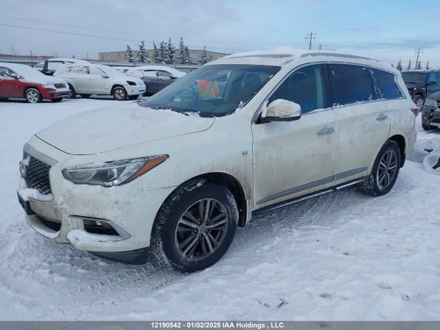 5N1DL0MM7KC551481 Infiniti QX60