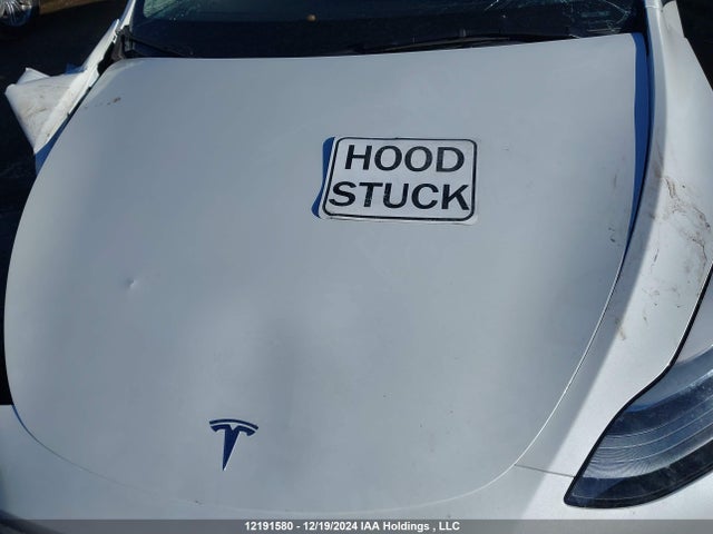 7SAYGDEE0RF213607 Tesla 2024
