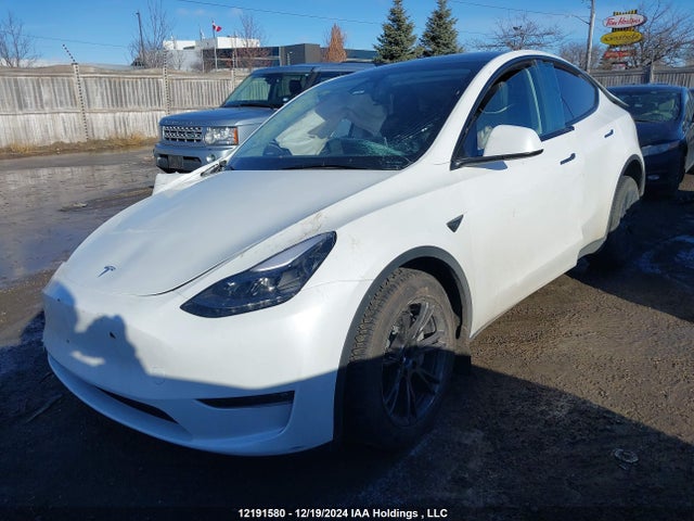 7SAYGDEE0RF213607 Tesla 2024