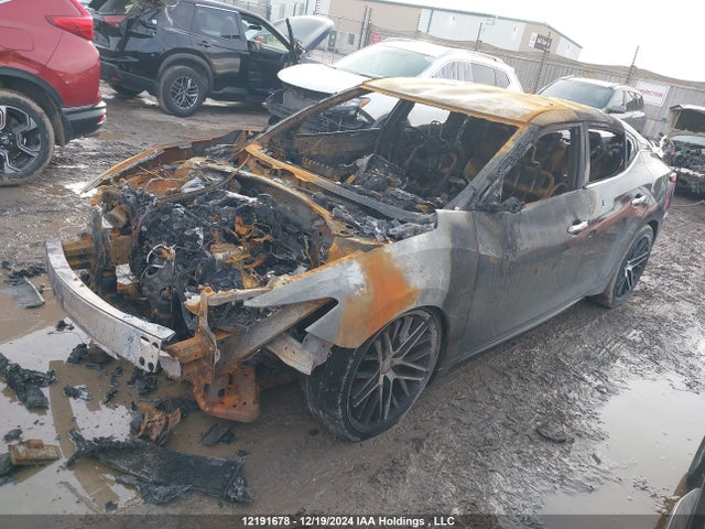 1N4AA6AP7GC903342 Nissan Maxima