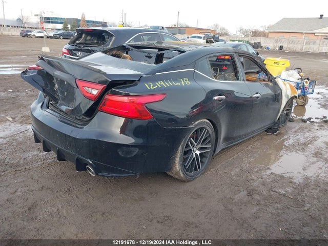 1N4AA6AP7GC903342 Nissan Maxima