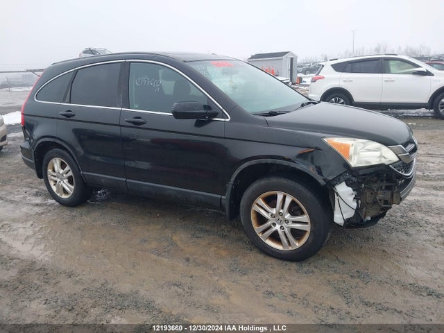 Aukcja sprzedaży 2011 Honda Cr-v, vin: 5J6RE4H58BL812934, numer aukcji: 12193660