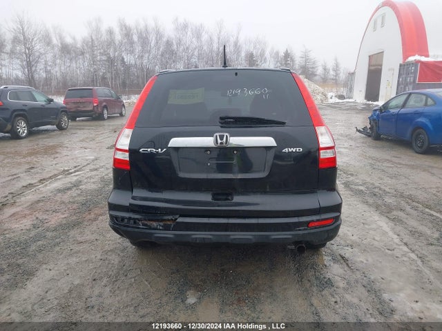 Aukcja sprzedaży 2011 Honda Cr-v, vin: 5J6RE4H58BL812934, numer aukcji: 12193660
