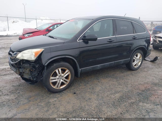 Aukcja sprzedaży 2011 Honda Cr-v, vin: 5J6RE4H58BL812934, numer aukcji: 12193660
