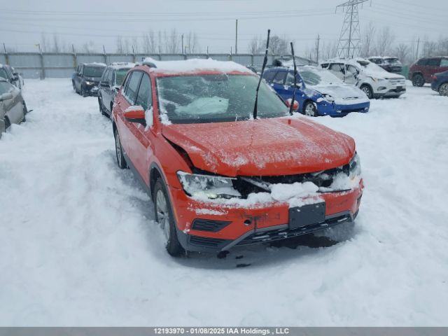 3VV0B7AX8LM124826 Volkswagen Tiguan