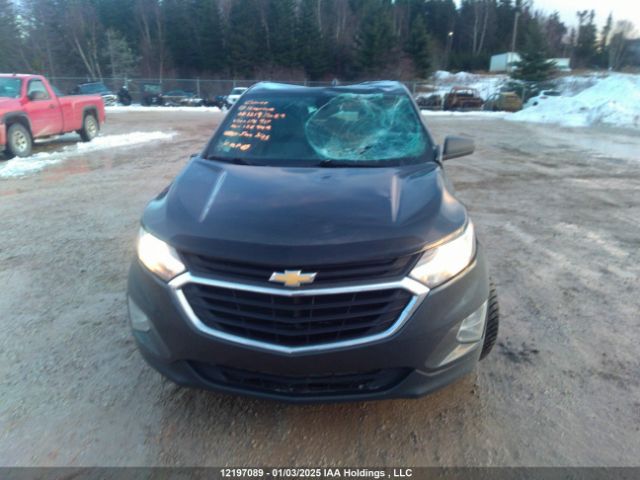 2GNAXREV8J6176917 Chevrolet EQUINOX LS