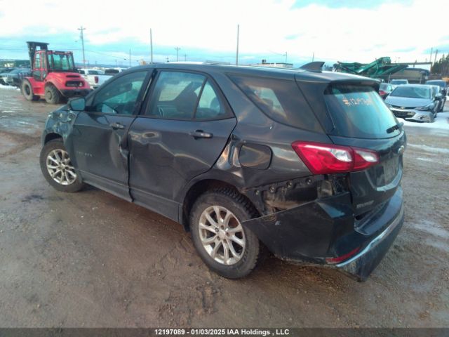 2GNAXREV8J6176917 Chevrolet EQUINOX LS