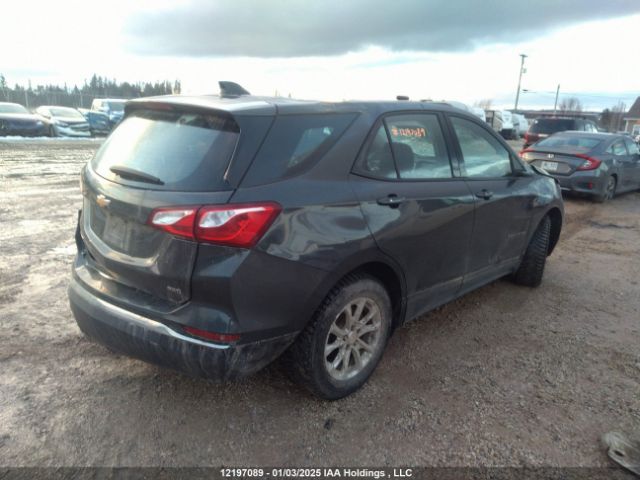 2GNAXREV8J6176917 Chevrolet EQUINOX LS