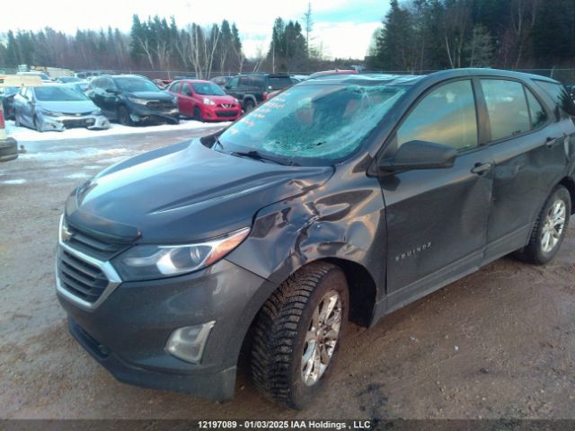 2GNAXREV8J6176917 Chevrolet EQUINOX LS