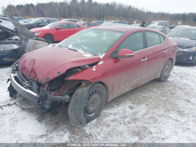 KMHD84LF0HU126988 Hyundai Elantra