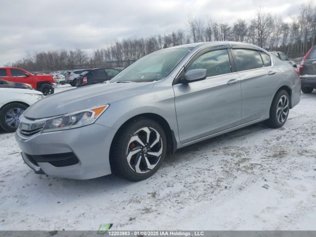 1HGCR2F39HA803400 Honda k24w1
