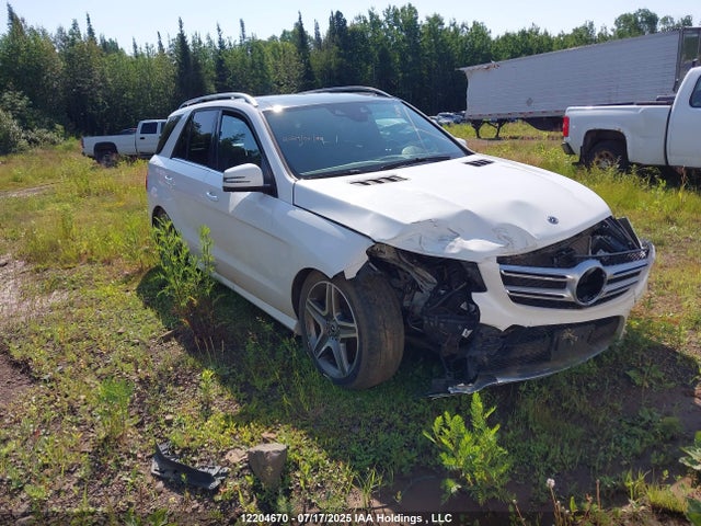 4JGDA5GB4HA983785 Mercedes-Benz m276