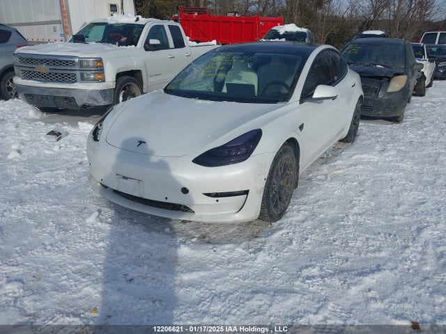 Tesla MODEL 3 2020 5YJ3E1EA7LF604012 Image 2