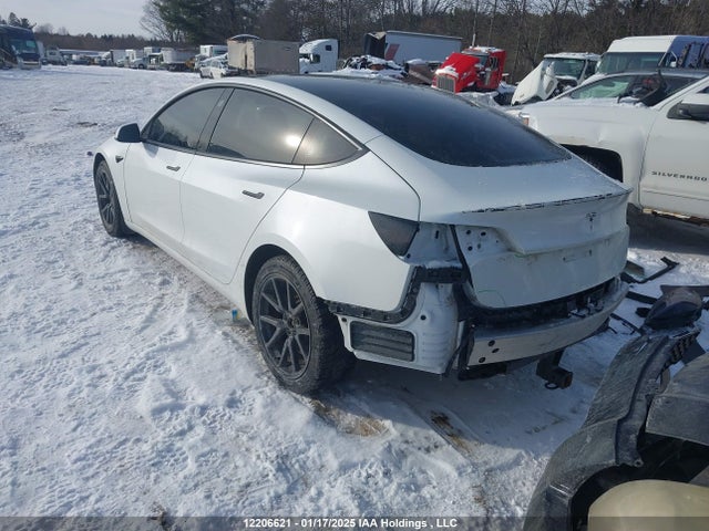 Tesla MODEL 3 2020 5YJ3E1EA7LF604012 Image 3