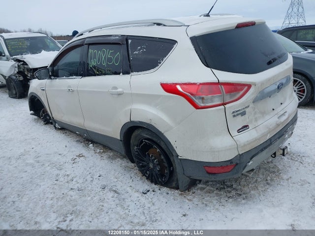 Ford Escape 2016 1FMCU9J95GUC14533 Image 3