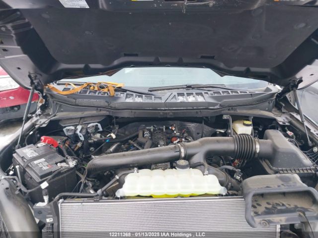 1FTFW3L84RFA52687 Ford gtdi