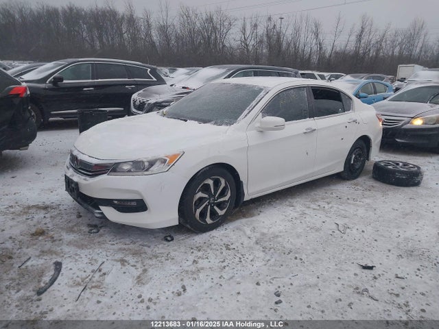 1HGCR2F85GA806336 Honda k24w1