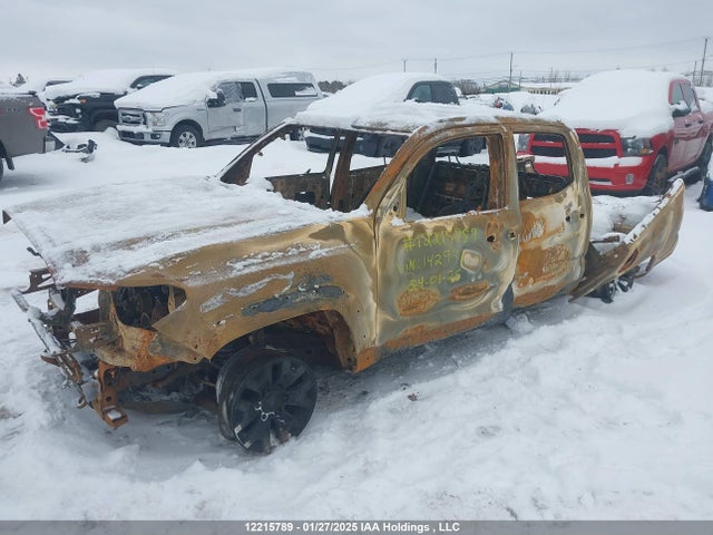 3TYCZ5AN1PT142931 Toyota Tacoma