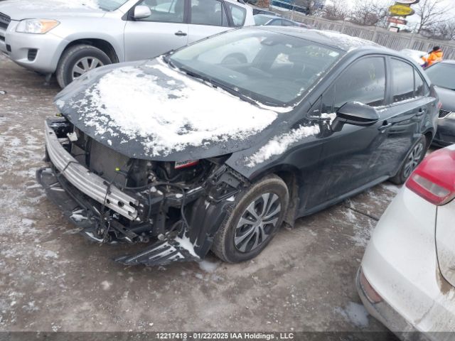 JTDBBMBEXNJ037528 Toyota Corolla