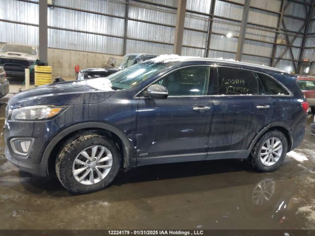 5XYPGDA34HG330384 KIA Sorento