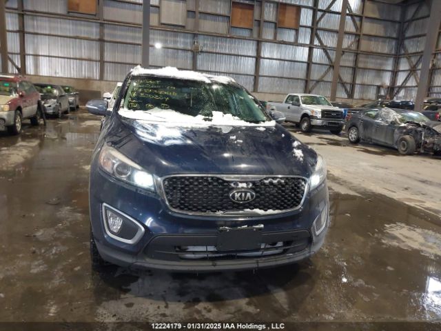 5XYPGDA34HG330384 KIA Sorento