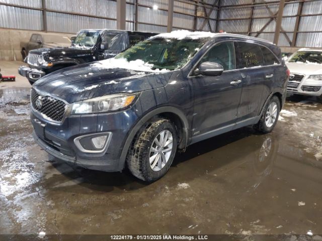 5XYPGDA34HG330384 KIA Sorento