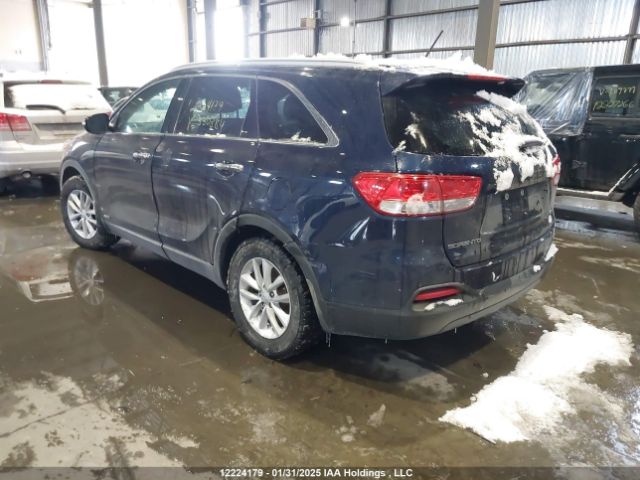 5XYPGDA34HG330384 KIA Sorento