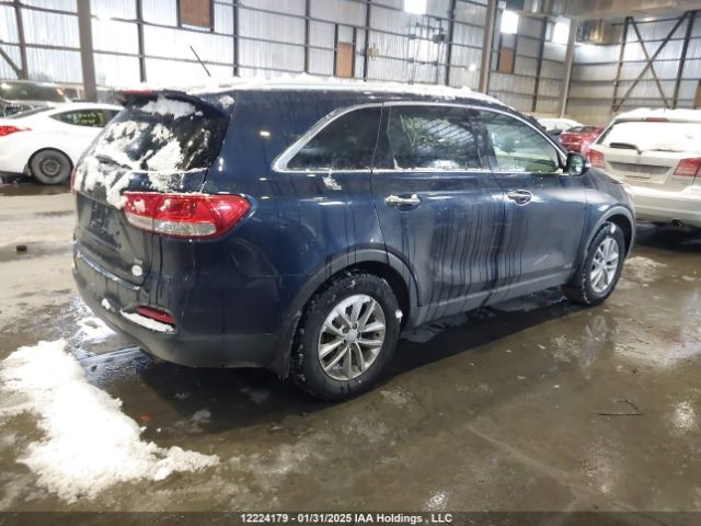 5XYPGDA34HG330384 KIA Sorento