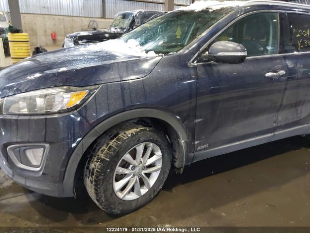 5XYPGDA34HG330384 KIA Sorento